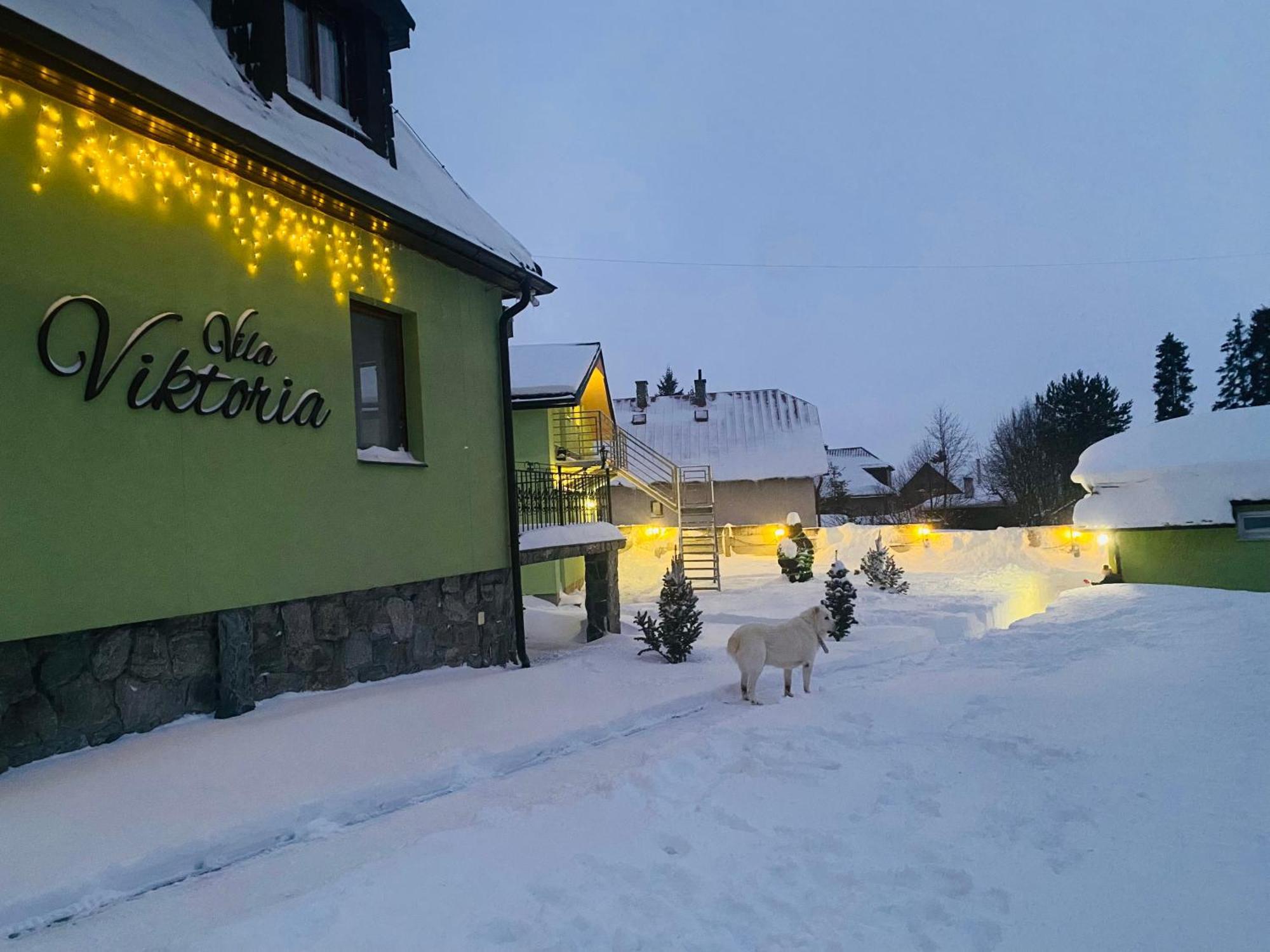 Vila Viktoria Štôla Kültér fotó